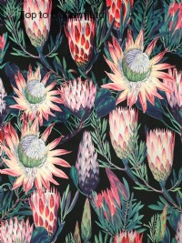 Protea